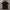 Armani	 Casual Polo Shirt Pria Black
