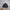Topi Reebok x NFL Denver Broncos photo 3