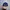 Topi NHL Toronto Maple Leafs photo 3