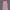 Geela Long Outer Cardigan