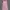 Geela long outer cardigan photo 3