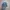 Topi Vintage NFL Seattle Seahawks photo 1