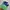 Topi Vintage NFL Seattle Seahawks photo 5