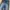 “PRPS” Blue Prewash Contrast Fade Jeans Pants (Regular Fit) photo 4