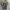 Kaos Vintage Band Rolling Stones  photo 1