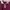 Preppy Cable Knit Sweater-Wine Red photo 2