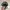 Topi Realtree PSC Arthery photo 4