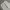Baggy Jeans Light Gray photo 2