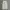 Baggy Jeans Light Gray photo 4