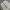 Baggy Jeans Light Gray photo 5