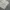 Baggy Jeans Light Gray photo 3