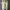 Flatshoes TLSN photo 2