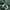 Streetwear Casual Casual pants Pria green photo 7