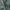 Streetwear Casual Casual pants Pria green photo 8
