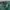 Streetwear Casual Casual pants Pria green photo 5