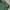 Streetwear Casual Casual pants Pria green photo 4