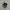 New Balance 992 Black Top Made USA photo 2