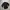Person Longshirts