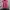 Atasan Wanita Warna Pink Motif Batik photo 2