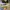 Converse Cx Ash Tone Lime Twist photo 3