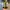 Converse Cx Ash Tone Lime Twist photo 6