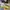 Converse Cx Ash Tone Lime Twist photo 4