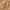 ZARA Luxury Casual Legging Wanita tan khaki cream photo 6