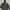 Alpha Industries Sportswear Bomber jacket Pria green photo 1