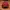 Topi Harry Potter Gryffindor official original photo 2