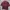 TOP MAROON WINE photo 1