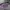 guess x 88 rising funny pack orginal  photo 1