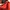 Sportswear Windbreaker Pria red orange photo 7