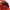 Sportswear Windbreaker Pria red orange photo 6