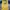 Jersy Arsenal Away Vintage 1996/1997 Yellow  photo 1
