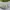 Y2K Tank Top Gelato Pique Cute Kawai Vintage photo 2