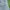 Jorts Cargo Pants Jeans Y2K Streetwear NST photo 2