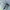Jorts Cargo Pants Jeans Y2K Streetwear NST photo 4