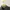 Cocl essentials boxy fit canvas jacket olive grey  photo 5