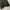 Cocl essentials boxy fit canvas jacket olive grey  photo 6