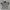 POLO SHIRT PEARLY GATES ORIGINAL 100% photo 1
