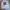 Crewneck adidas big logo branded casual bekas TREEFOILD photo 1