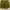 Lululemon Short - Green size 33  photo 1