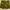 Lululemon Short - Green size 33  photo 3