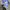 Honda Civic EG photo 1