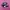 Puma Speedcat Black Pink photo 1