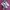 Saucony Edorphin Speed 4 photo 2