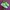 Saucony Endorphin 4 photo 2