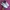 Saucony Endorphin Speed 4 photo 2