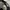 Poten baggy balloon pants photo 6