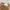 Longsleeve Gap knit kepang cream tangan balon brand photo 4